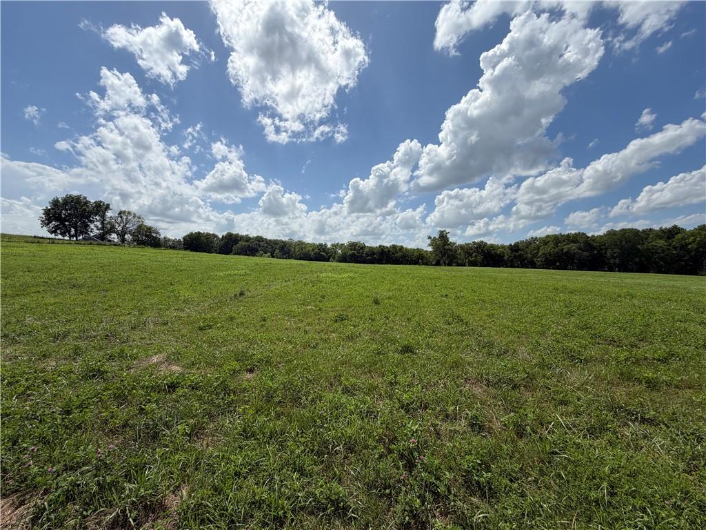 4th image of 15749 206Th St, Tonganoxie, KS 66086 | MLS# 2632854