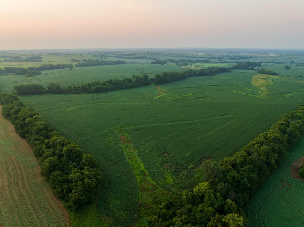 5th image of Tbd Tract 1 Sw 1300Th Rd, Chilhowee, MO 64733 | MLS# 2635635