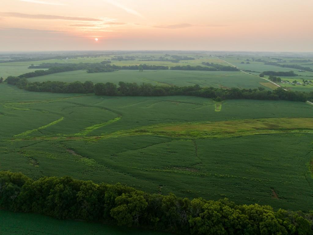 4th image of Tbd Tract 1 Sw 1300Th Rd, Chilhowee, MO 64733 | MLS# 2635635