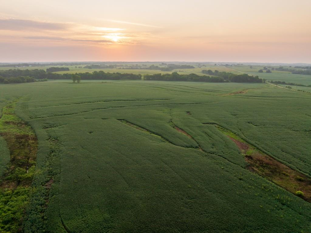 3rd image of Tbd Tract 2 Sw 1300Th Rd, Chilhowee, MO 64733 | MLS# 2635638