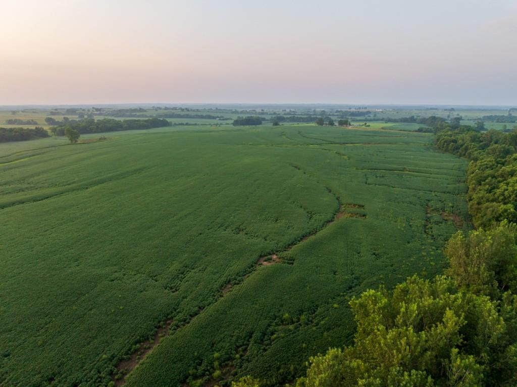 4th image of Tbd Tract 2 Sw 1300Th Rd, Chilhowee, MO 64733 | MLS# 2635638