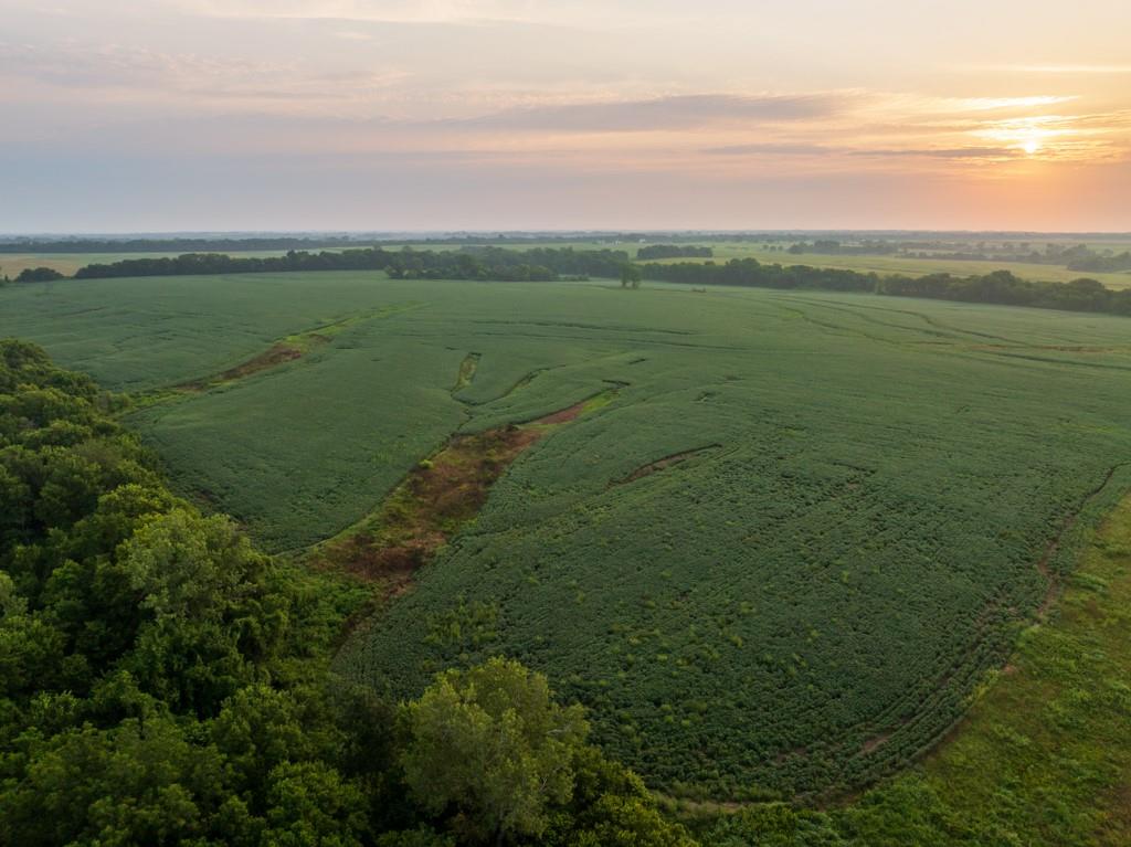 2nd image of Tbd Tract 2 Sw 1300th Rd, Chilhowee, MO 64733 | MLS# 2635638