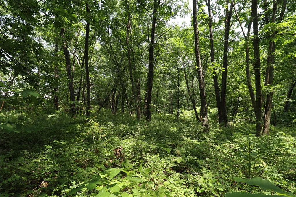 1st image of 36 E 1200th Rd, Baldwin City, KS 66006 | MLS# 2635861