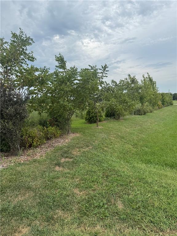 9th image of N 700 Rd, Eudora, KS 66025 | MLS# 2637135