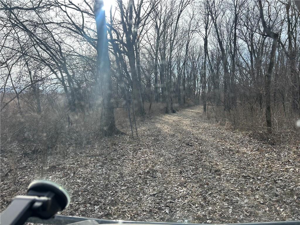 Photo 43 of Single family home for sale at 22803 Mary Lois Rd, Cowgill, MO 64637 | MLS# 2640454 | Listing updated on 2026-09-04