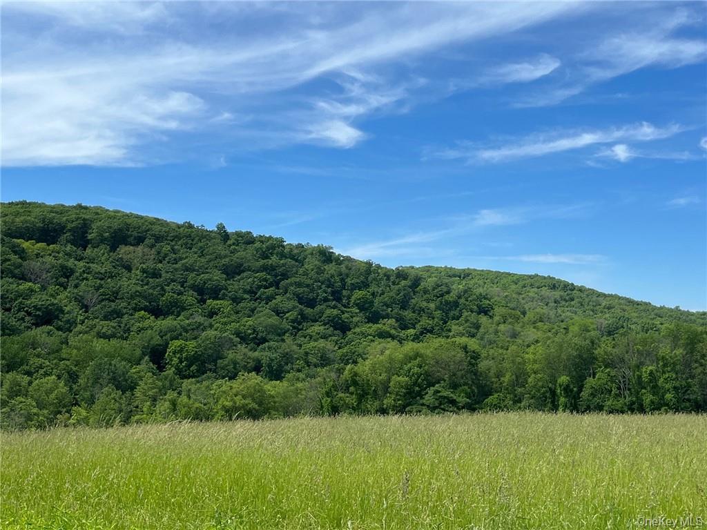 Homes for sale in Amenia, NY | Perrys Corners Rd, Amenia, NY 12501 | MLS# M419993