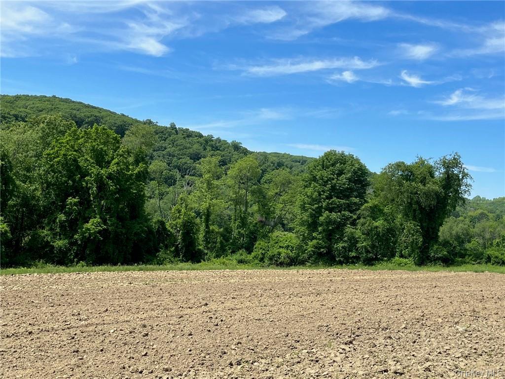 Homes for sale in Amenia, NY | Perrys Corners Rd, Amenia, NY 12501 | MLS# M419993
