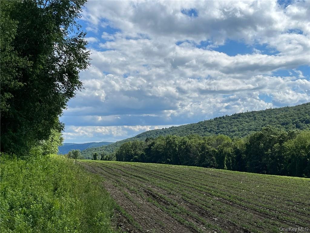 Homes for sale in Amenia, NY | Perrys Corners Rd, Amenia, NY 12501 | MLS# M419993