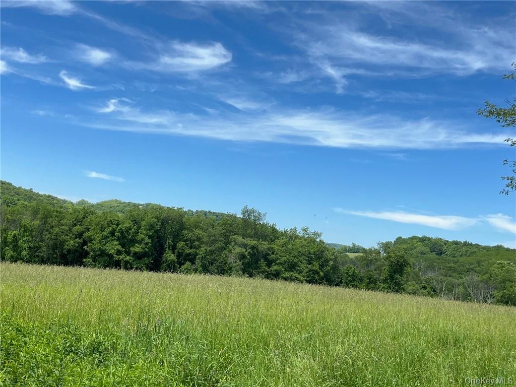 Homes for sale in Amenia, NY | Perrys Corners Rd, Amenia, NY 12501 | MLS# M419993