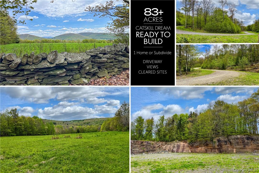 Homes for sale in Andes, NY | 0 Rt 28, Andes, NY 13731 | MLS# H6309191