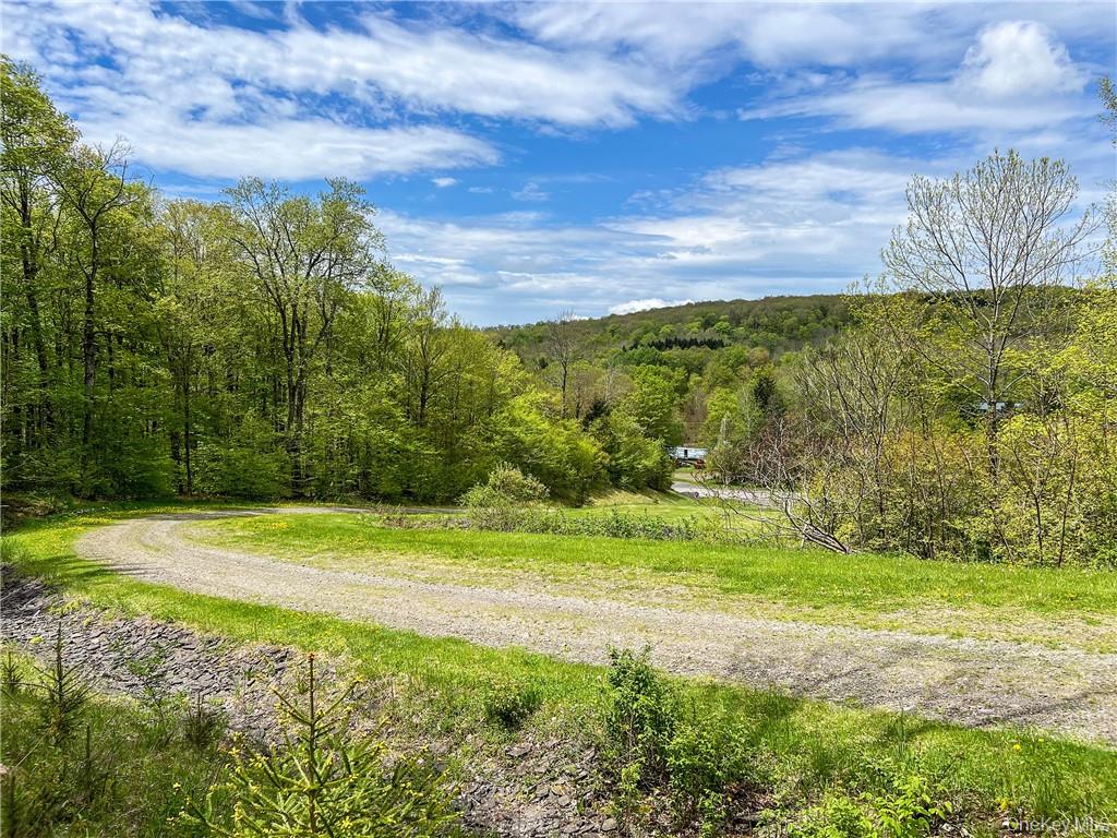 Homes for sale in Andes, NY | 0 Rt-28, Andes, NY 13731 | MLS# H6309191