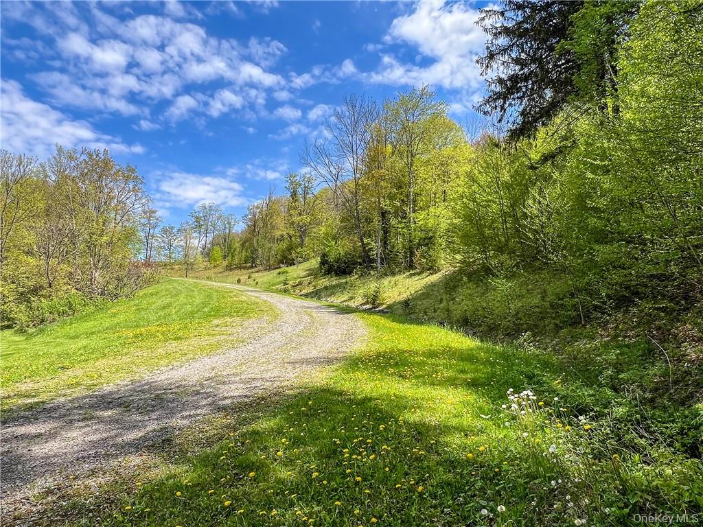 Homes for sale in Andes, NY | 0 Rt-28, Andes, NY 13731 | MLS# H6309191