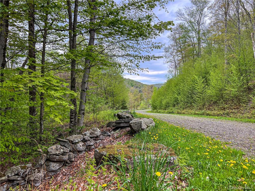 Homes for sale in Andes, NY | 0 Rt 28, Andes, NY 13731 | MLS# H6309191