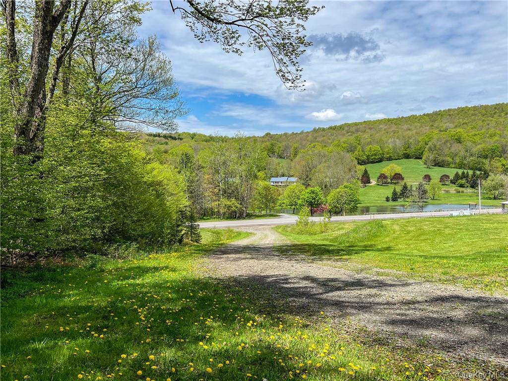 Homes for sale in Andes, NY | 0 Rt-28, Andes, NY 13731 | MLS# H6309191