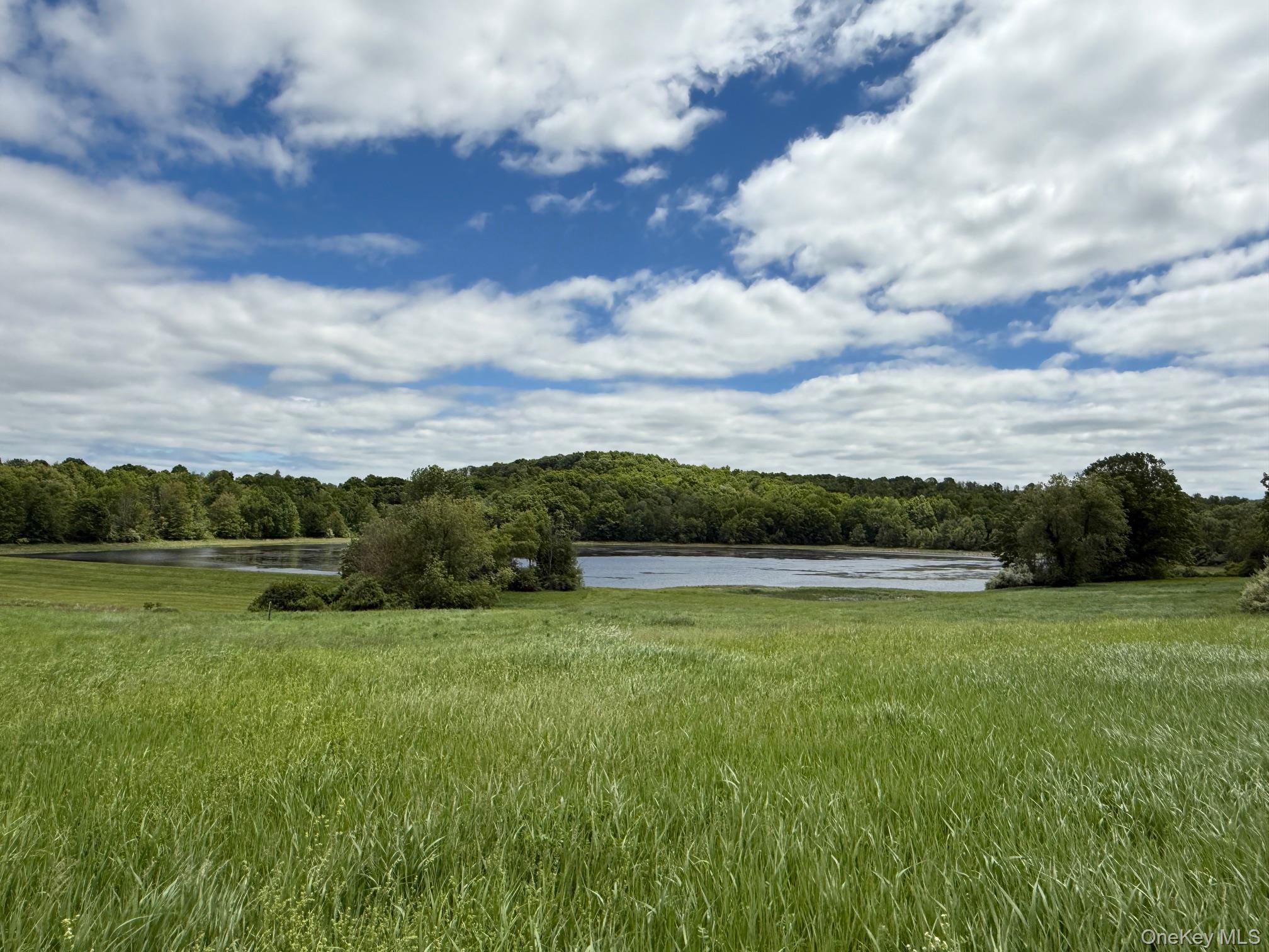 27th image of Woodward Hill,stissng Mount, Hicks Hill, Route 199, Pine Plains, NY 12567 | MLS# H6332462