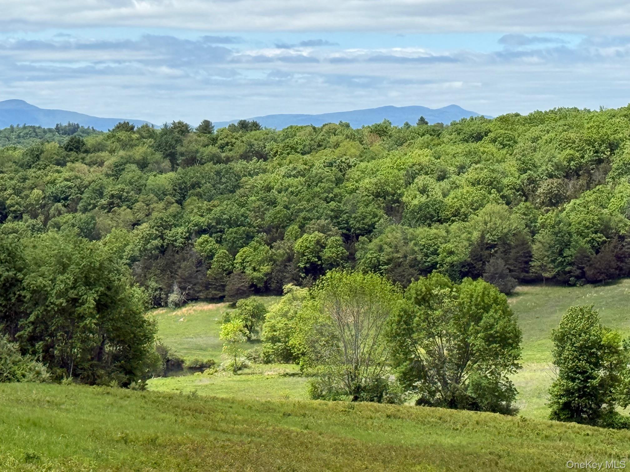 1st image of Woodward Hill,stissng Mount, Hicks Hill, Route 199, Pine Plains, NY 12567 | MLS# H6332462