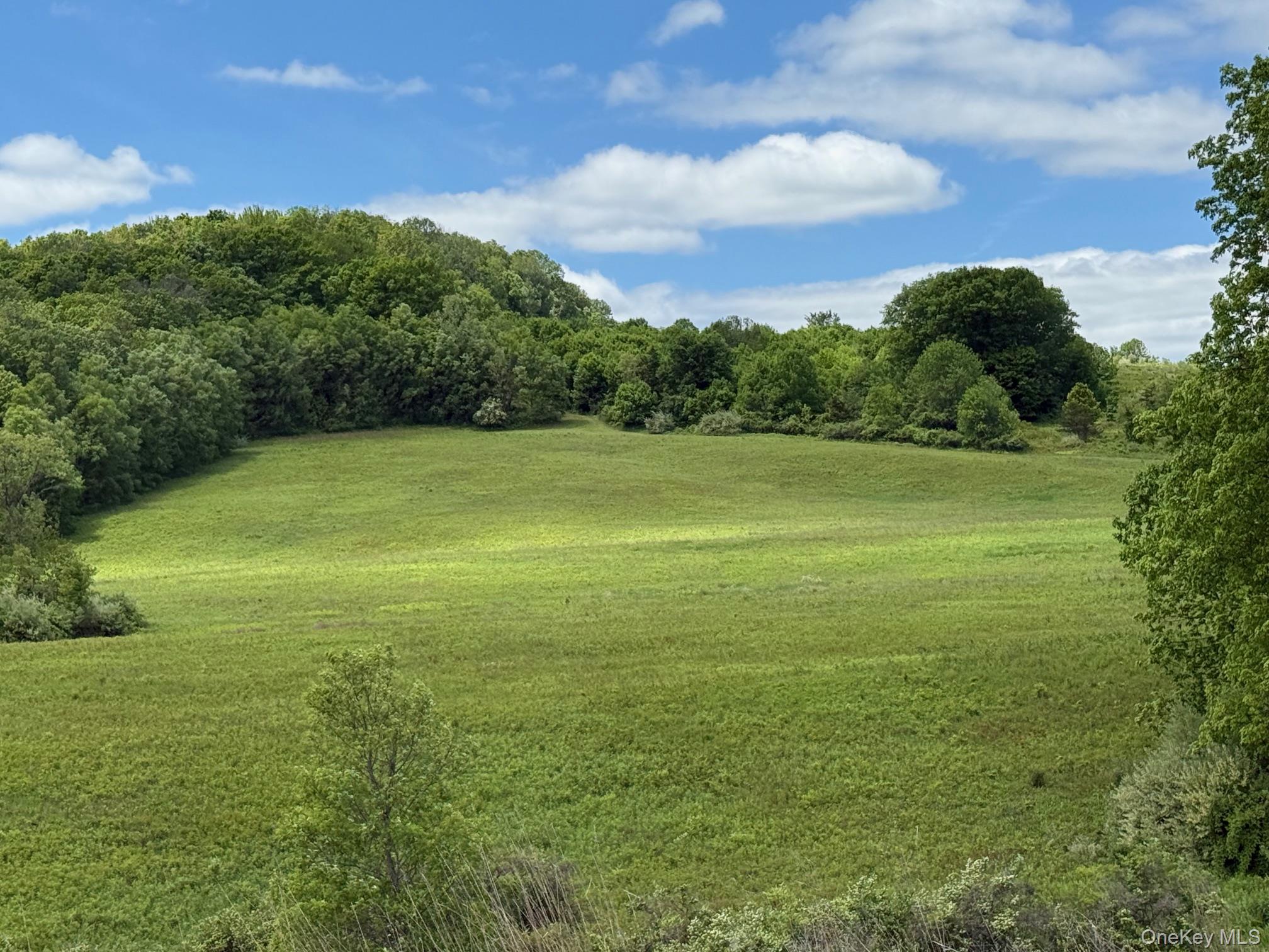 2nd image of Woodward Hill,stissng Mount, Hicks Hill, Route 199, Pine Plains, NY 12567 | MLS# H6332462
