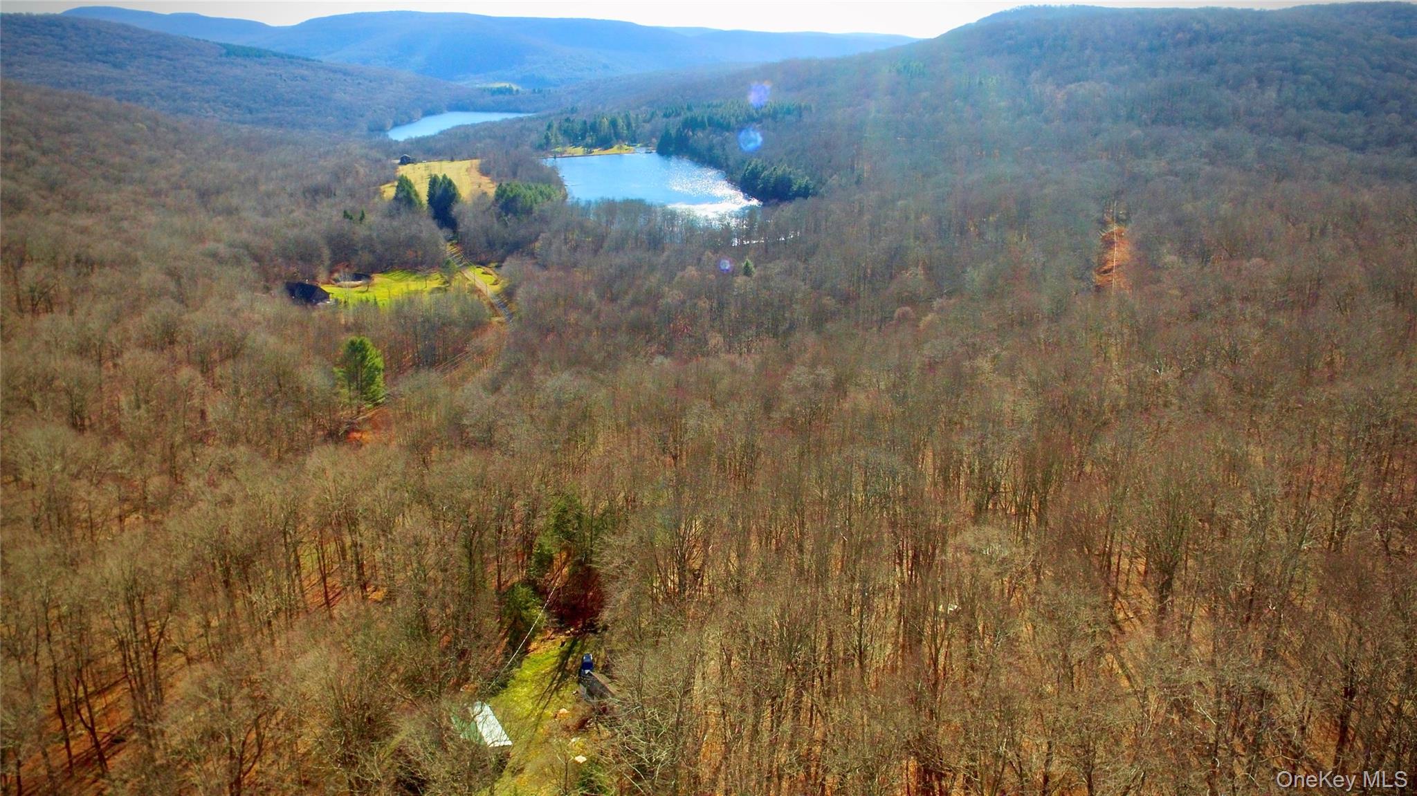 Homes for sale in Andes, NY | 339 Mountain Lake Rd, Andes, NY 13731 | MLS# 800985