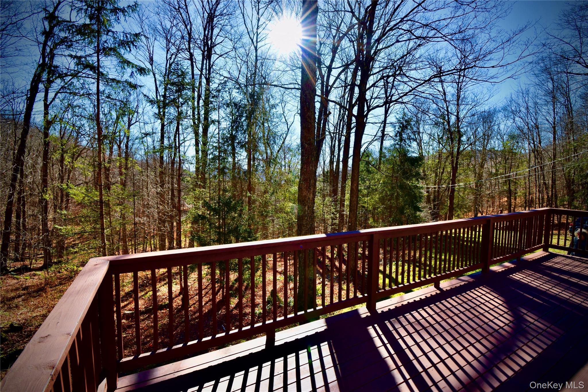 Homes for sale in Andes, NY | 339 Mountain Lake Rd, Andes, NY 13731 | MLS# 800985