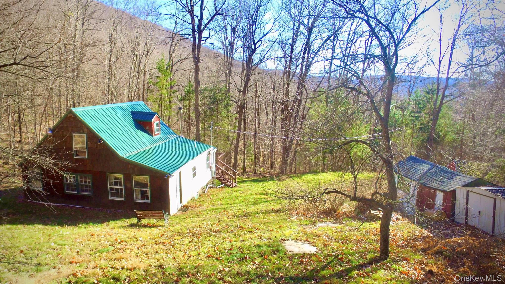 Homes for sale in Andes, NY | 339 Mountain Lake Rd, Andes, NY 13731 | MLS# 800985