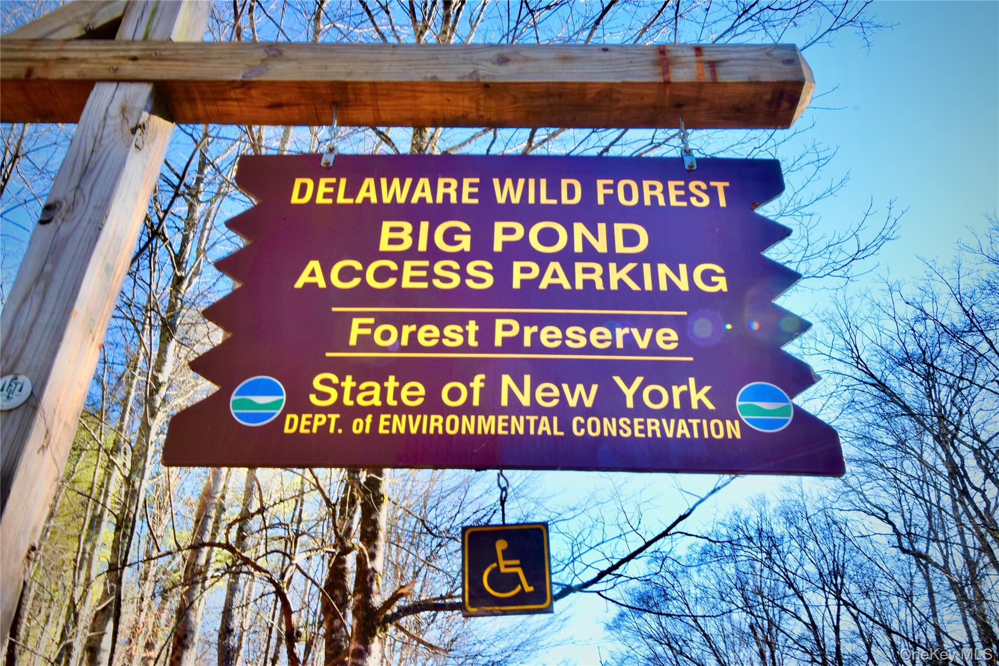 Homes for sale in Andes, NY | 339 Mountain Lake Rd, Andes, NY 13731 | MLS# 800985