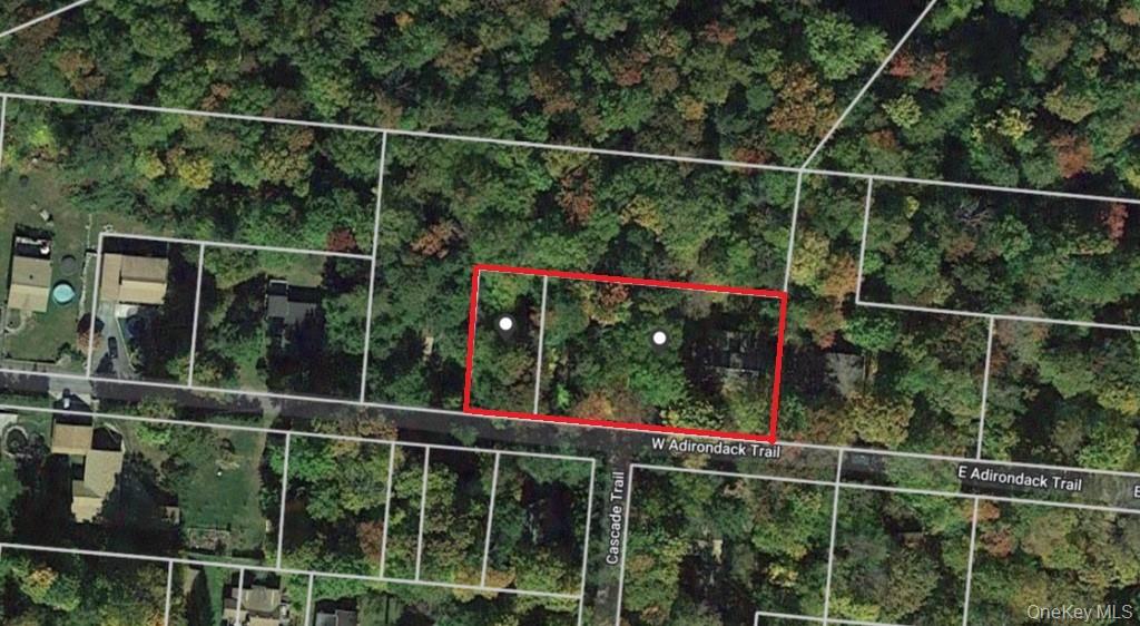 Homes for sale in Bethel, NY | 45 W Adirondack Trl, Bethel, NY 12778 | MLS# 841154