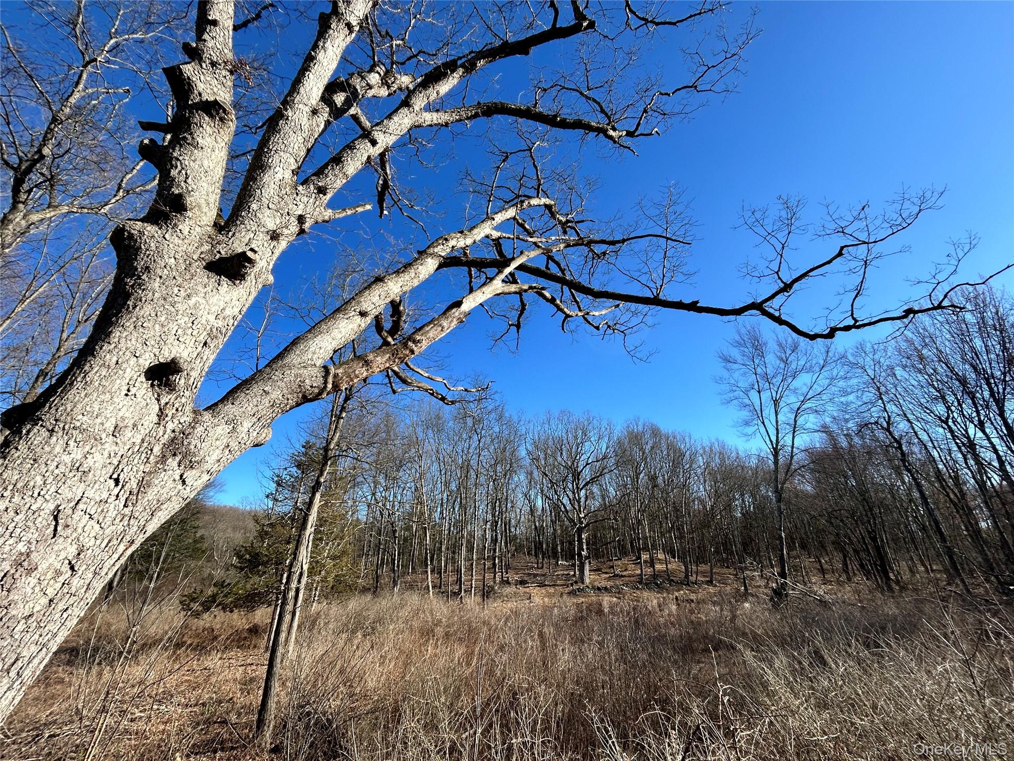 Homes for sale in Rhinebeck, NY | Rt 9g, Rhinebeck, NY 12572 | MLS# 842946