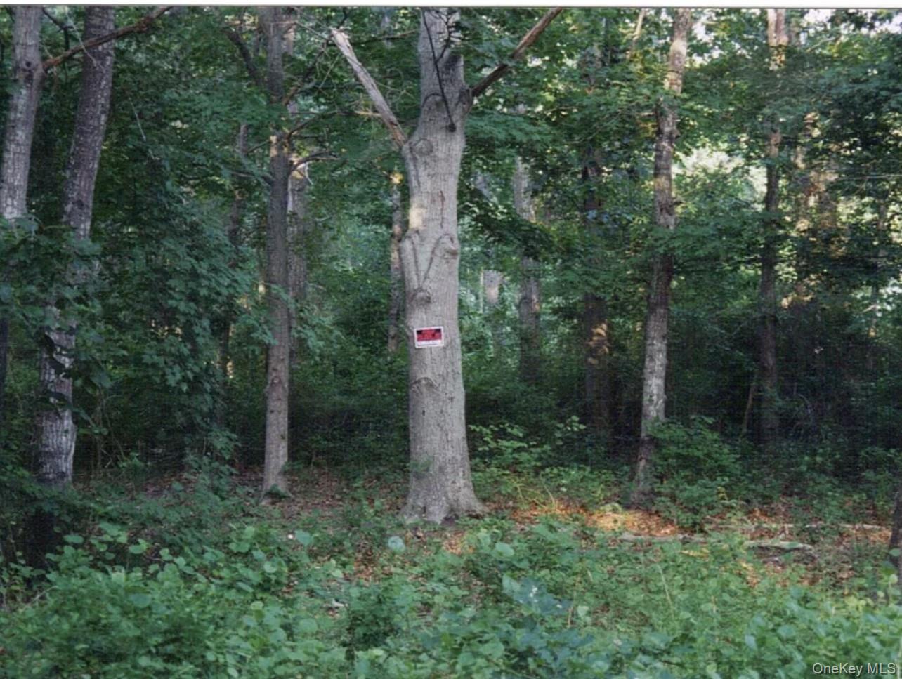 Homes for sale in Southampton, NY | 32 Harrison Ave, Southampton, NY 11968 | MLS# 856950