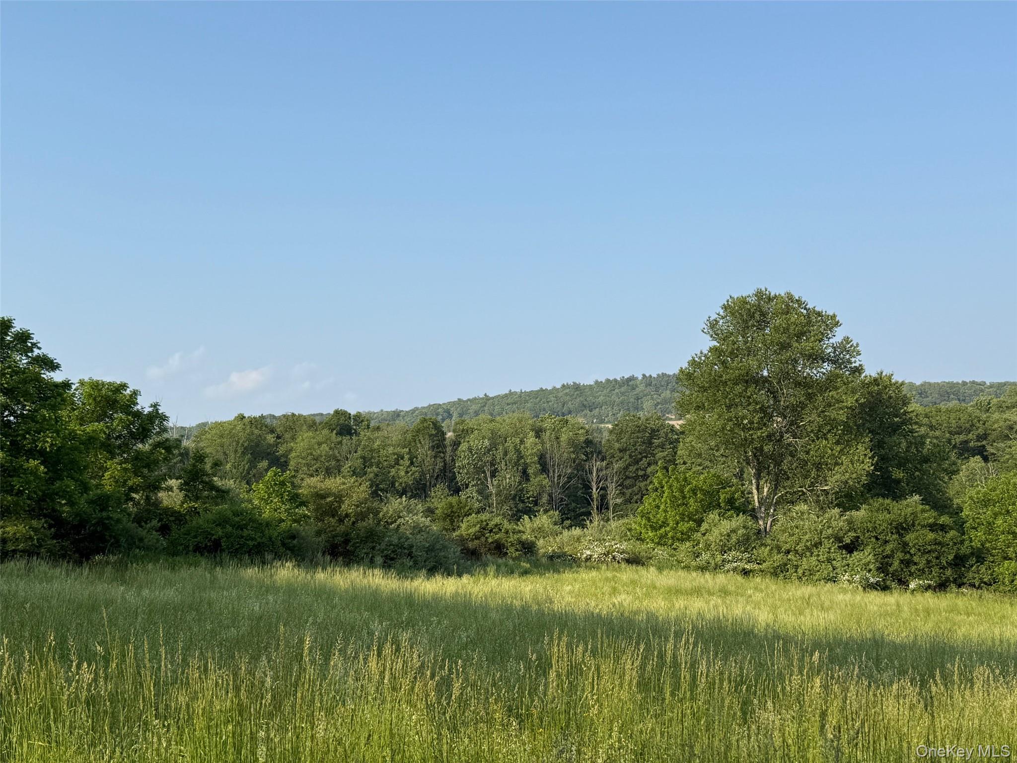 Homes for sale in North East, NY | Smithfield Rd, North East, NY 12546 | MLS# 879008