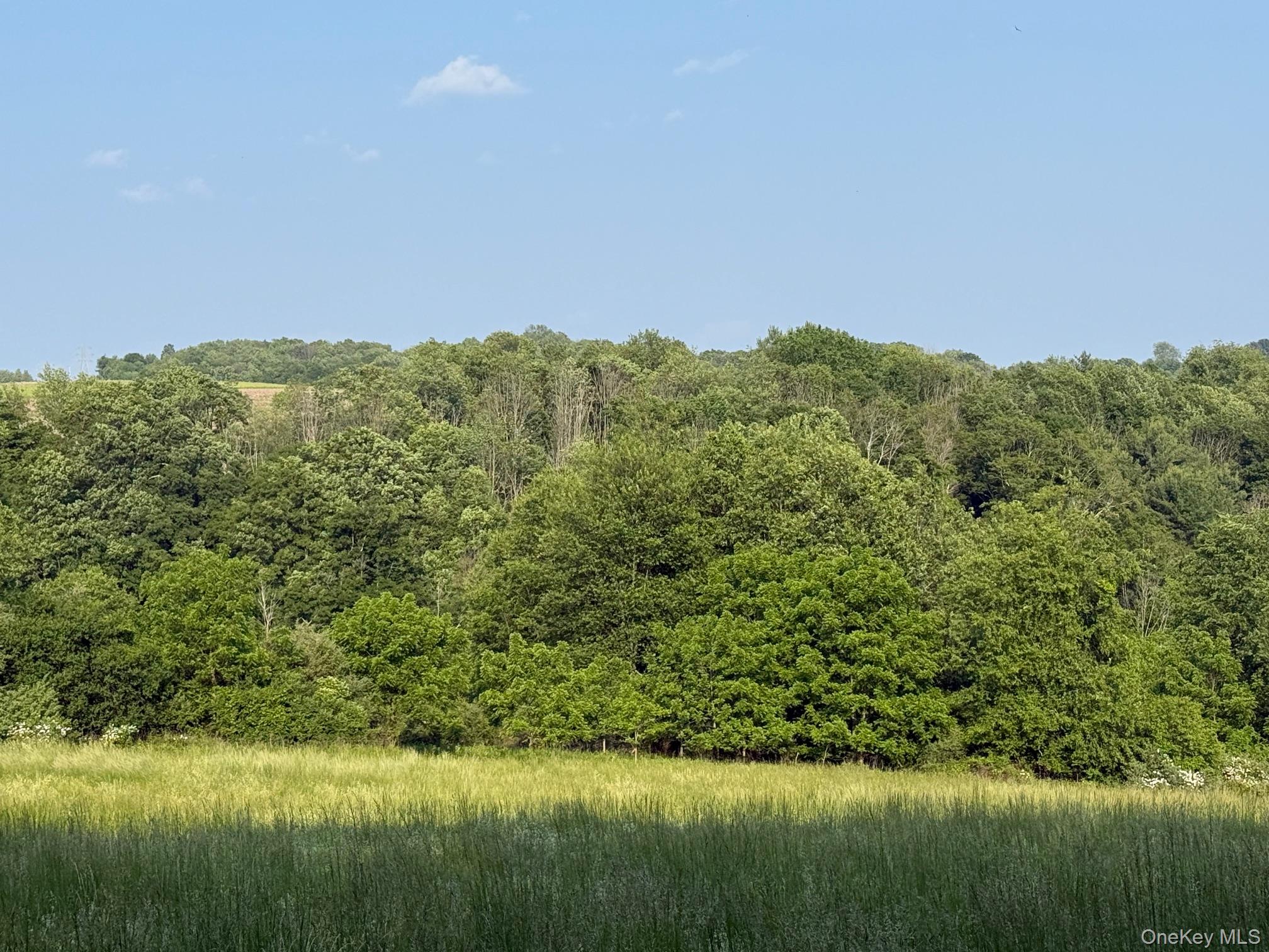 Homes for sale in North East, NY | Smithfield Rd, North East, NY 12546 | MLS# 879008