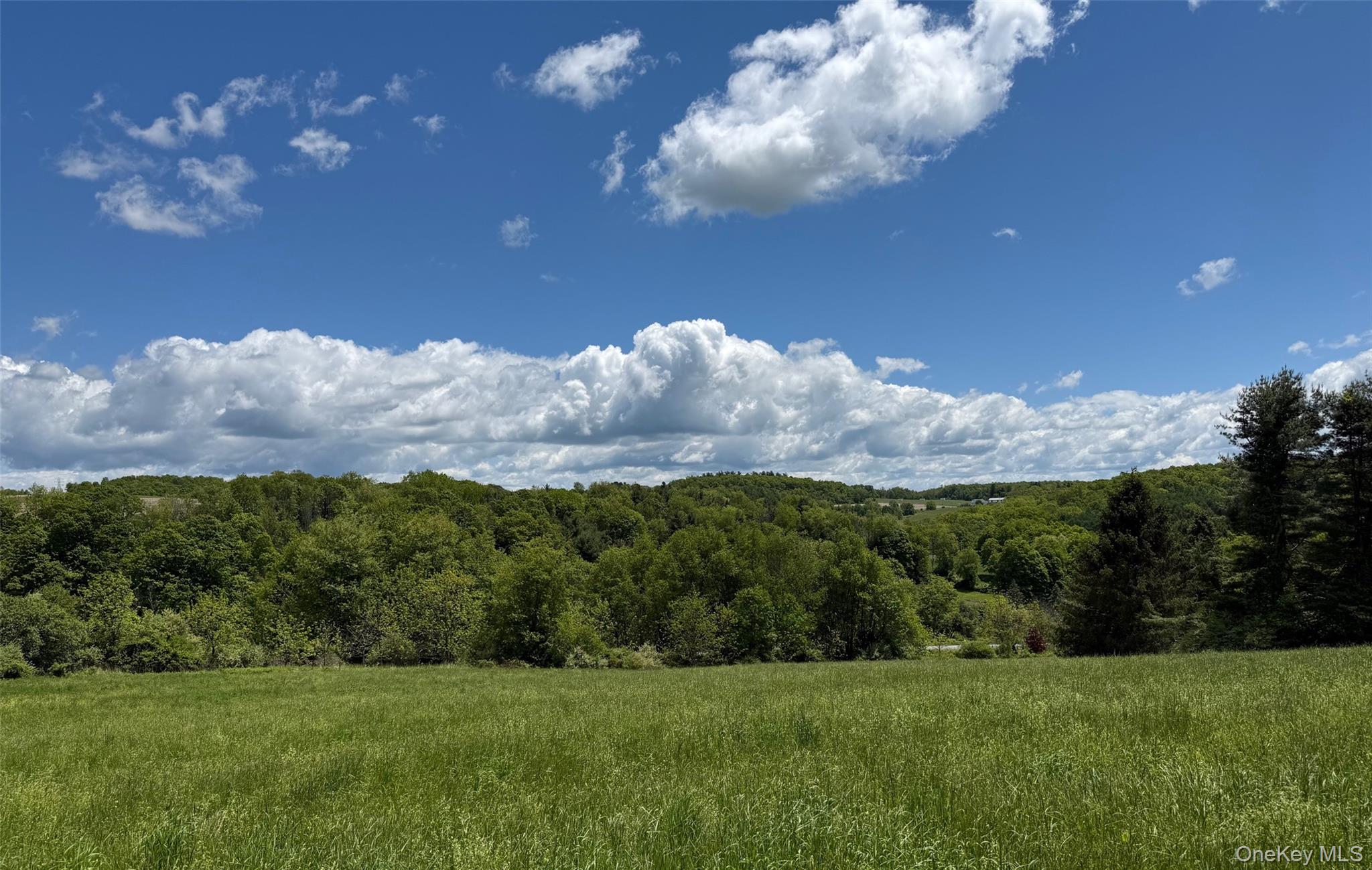 Homes for sale in North East, NY | Smithfield Rd, North East, NY 12546 | MLS# 879008