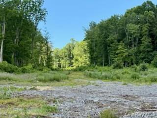 Homes for sale in Wappinger, NY | Lot 3 Chelsea Rd, Wappinger, NY 12590 | MLS# 882015