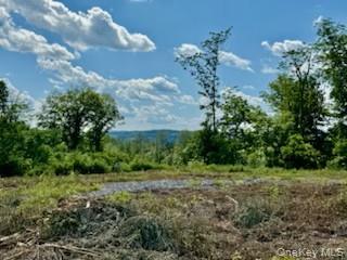 Homes for sale in Wappinger, NY | Lot 3 Chelsea Rd, Wappinger, NY 12590 | MLS# 882015