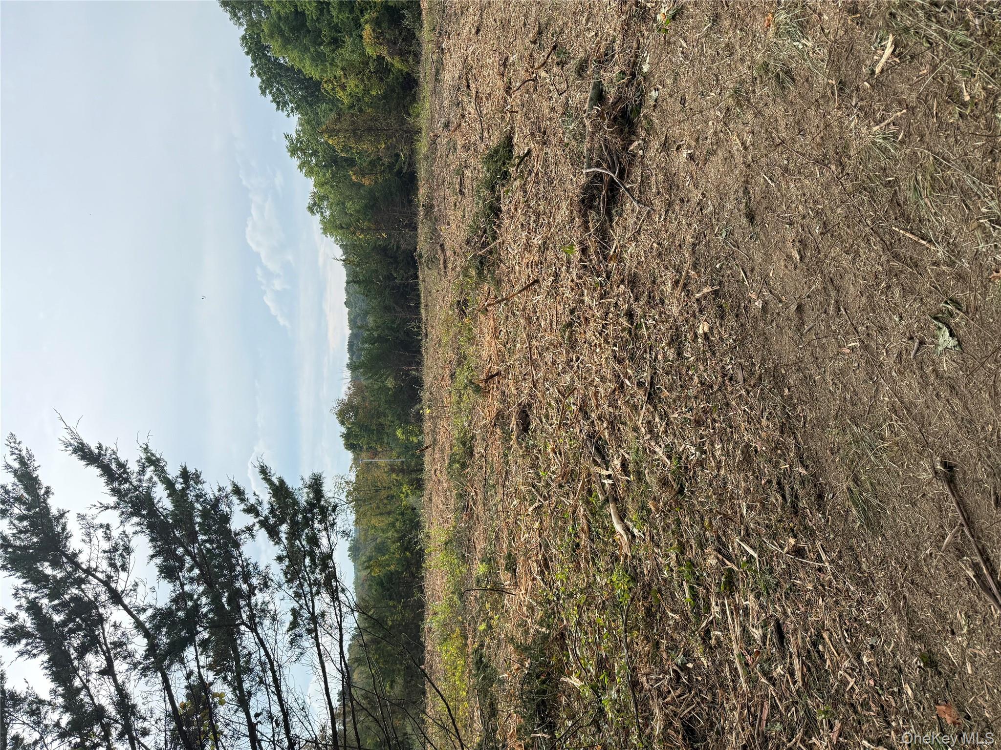 Homes for sale in Warwick (town), NY | 215 Union Corners Rd, Warwick (town), NY 10921 | MLS# 886818