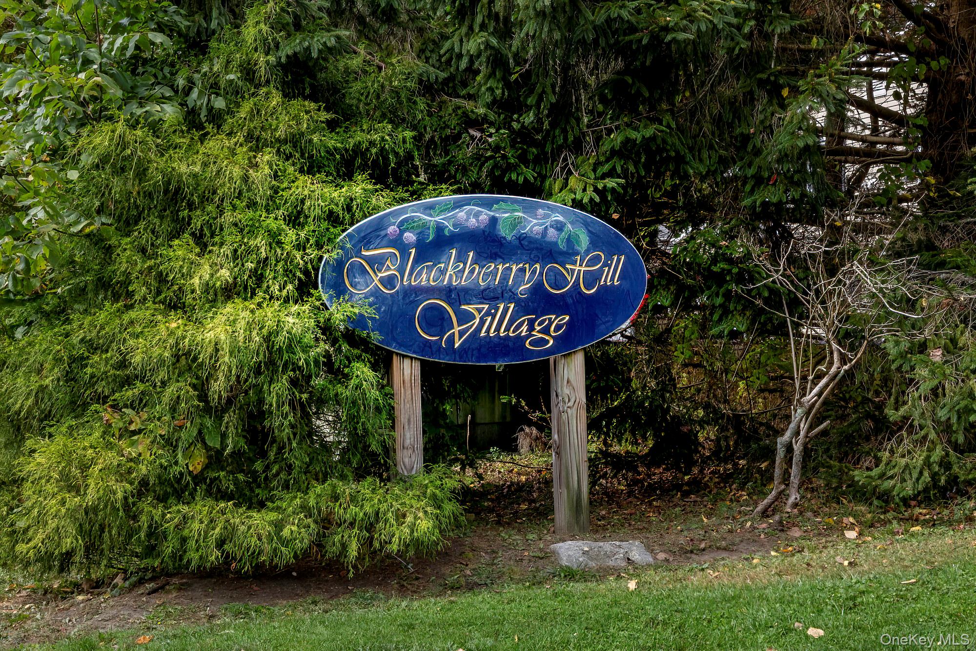 2nd image of 501 Vlg Dr, Southeast, NY 10509