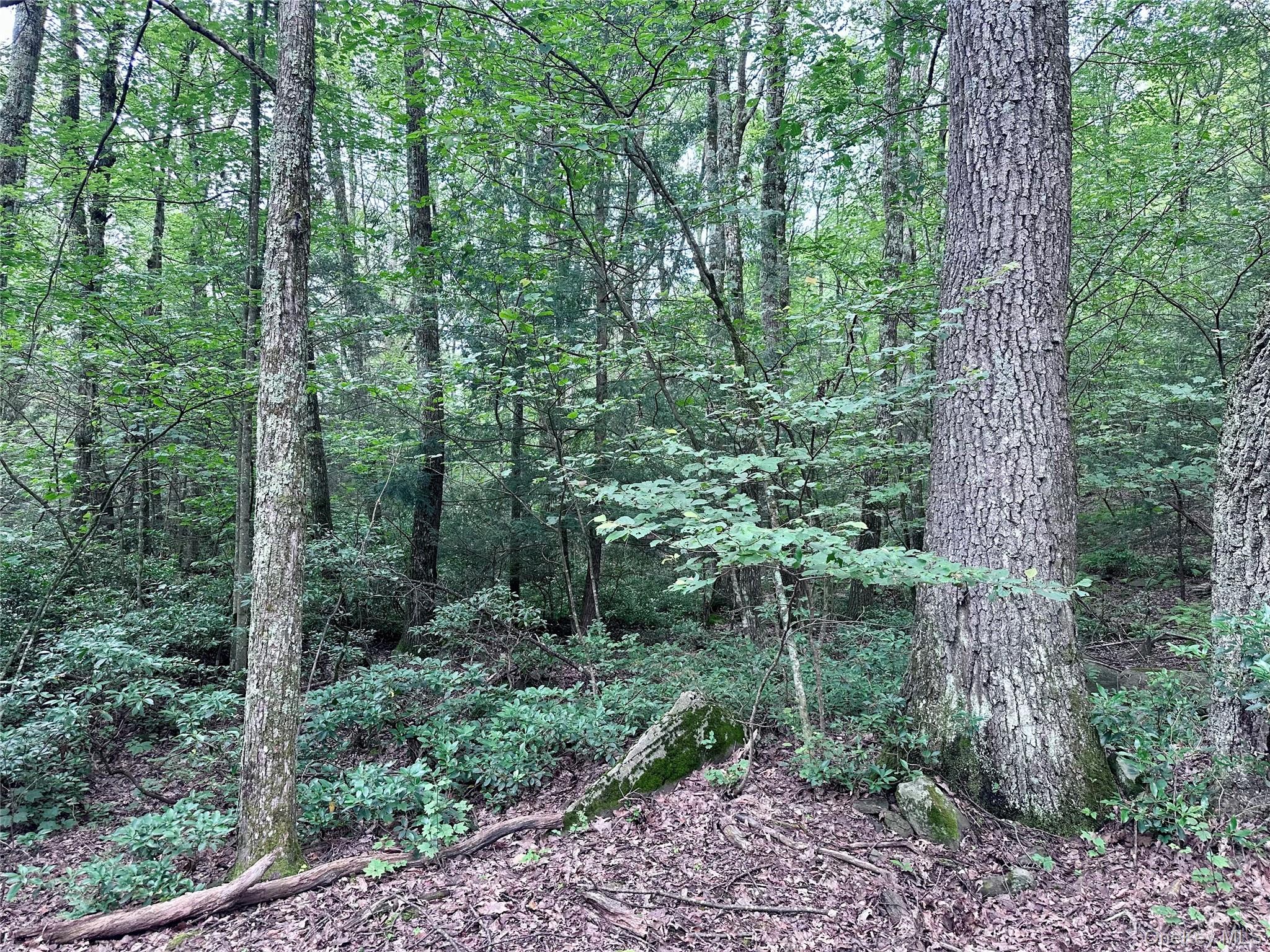 Homes for sale in Rochester, NY | Tbd Upper Cherrytown, Rochester, NY 12446 | MLS# 889057