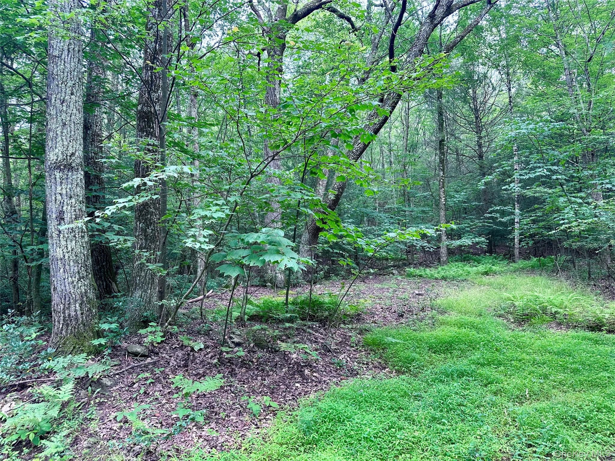 Homes for sale in Rochester, NY | Tbd Upper Cherrytown, Rochester, NY 12446 | MLS# 889057