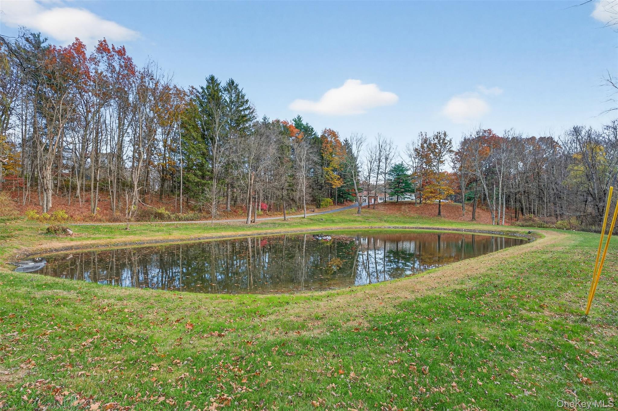 Homes for sale in Clinton, NY | 412 Ruskey Ln, Clinton, NY 12538 | MLS# 905205