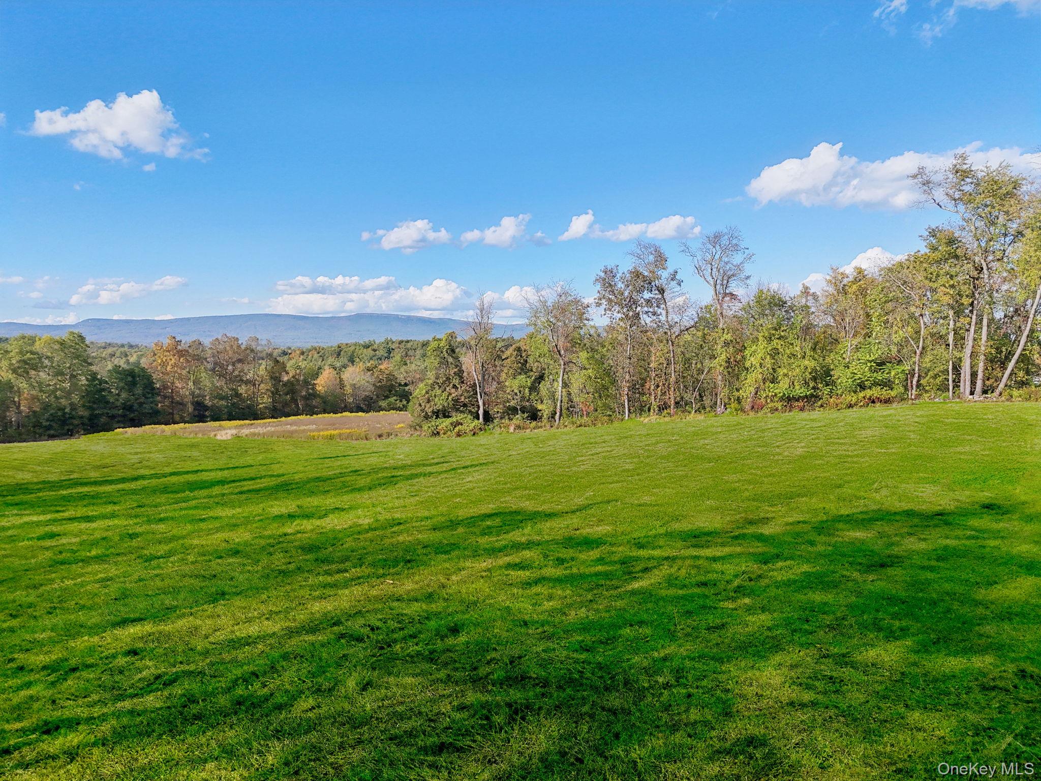 Homes for sale in Crawford, NY | 728 State Route 302, Crawford, NY 12566 | MLS# 920869