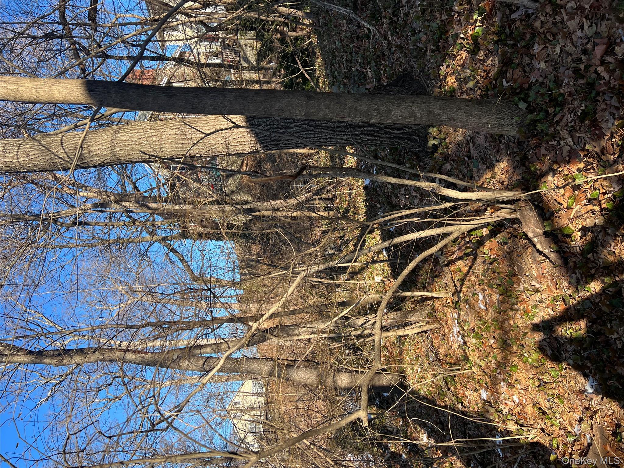 Homes for sale in Yonkers, NY | 102 Courter Ave, Yonkers, NY 10705 | MLS# 921604