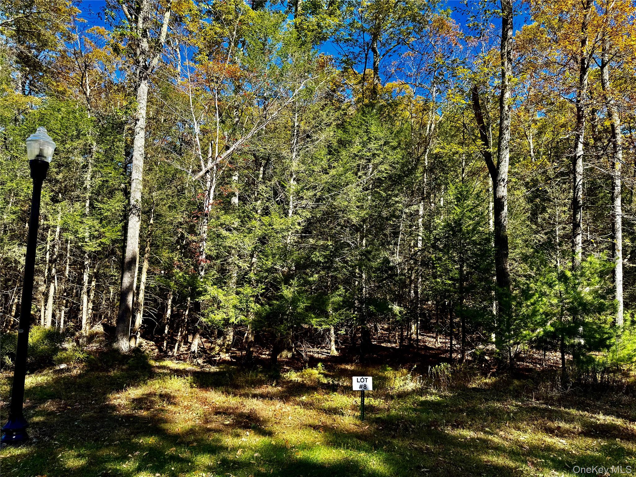 Homes for sale in Catskill, NY | 78 Falling Waters Dr, Catskill, NY 12463 | MLS# 925998