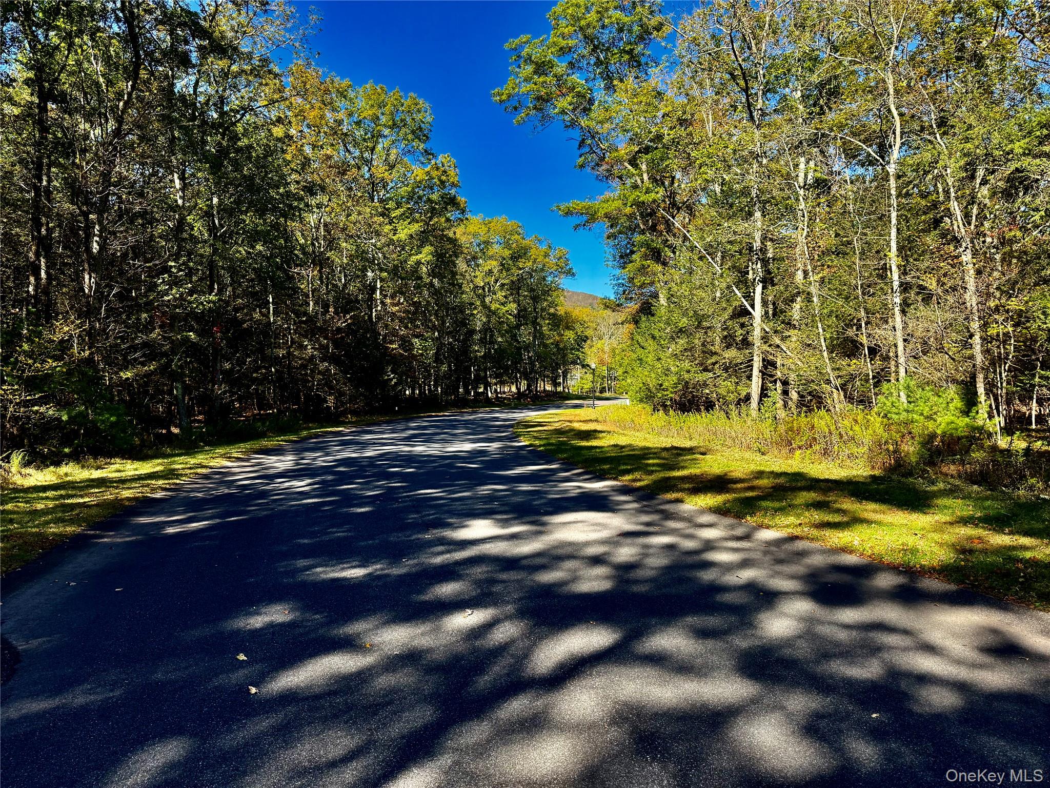 Homes for sale in Catskill, NY | 78 Falling Waters Dr, Catskill, NY 12463 | MLS# 925998