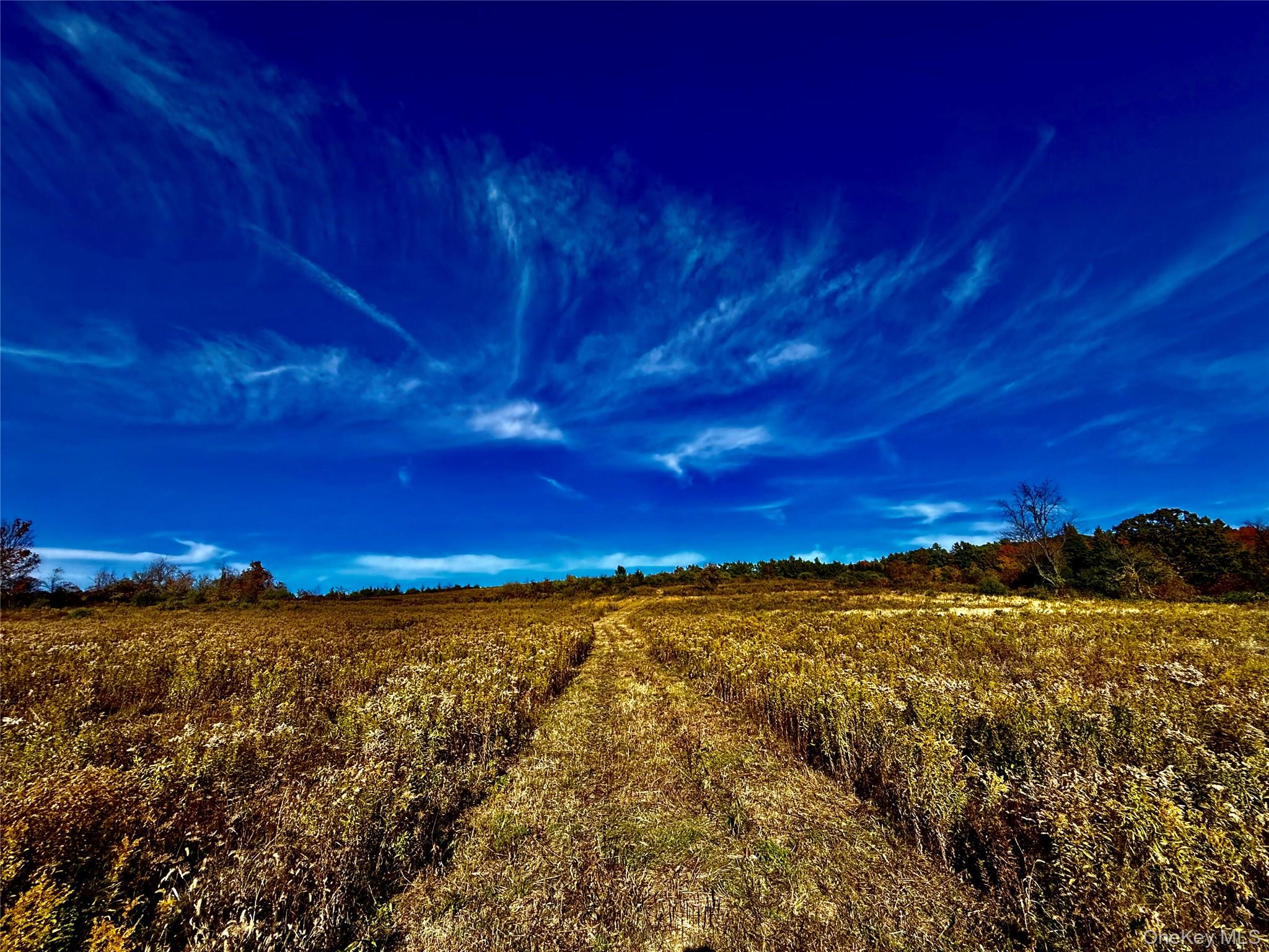 Homes for sale in Claverack, NY | 631 Rt-23, Claverack, NY 12530 | MLS# 929012