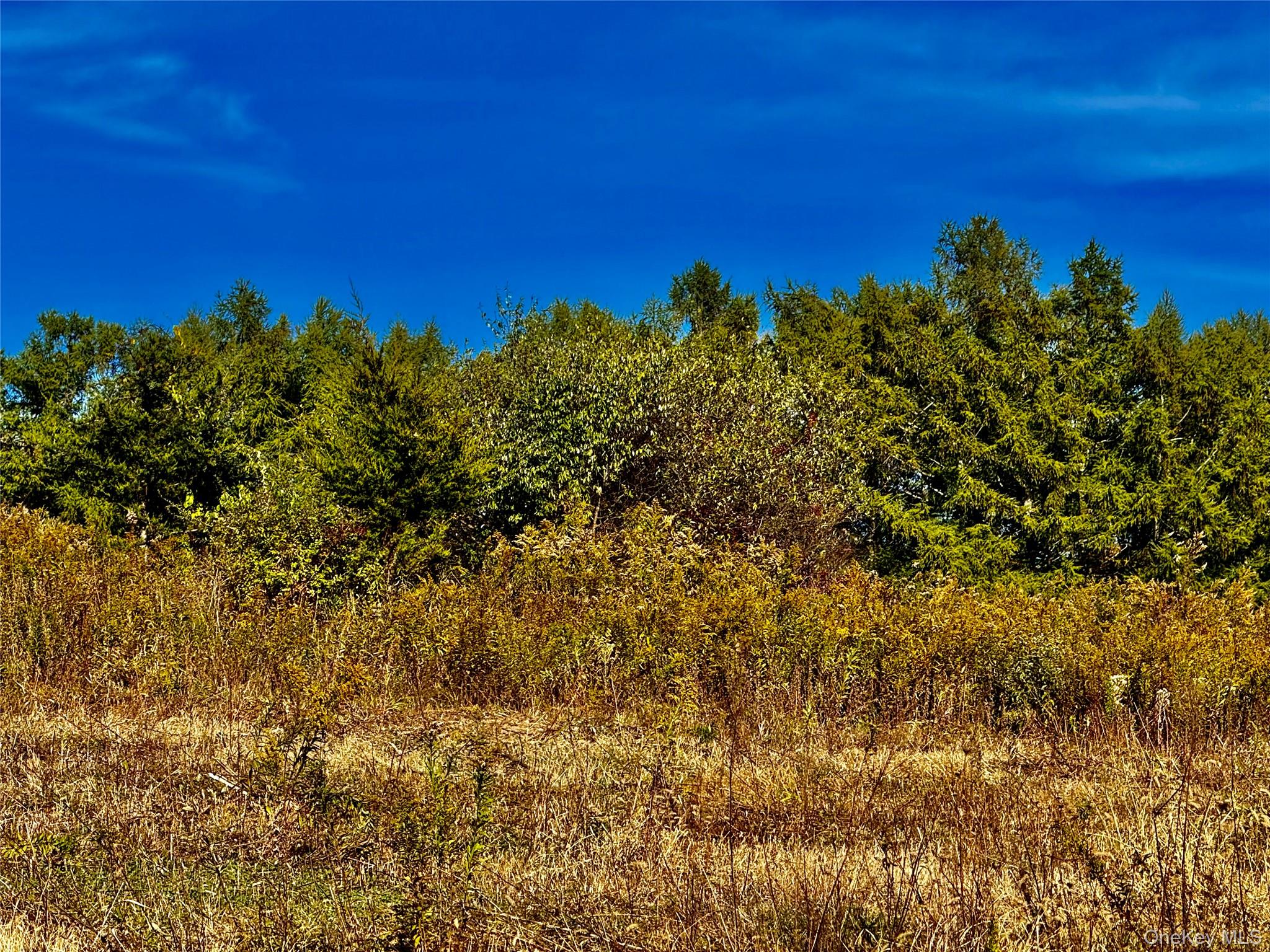 Homes for sale in Claverack, NY | 631 Rt 23, Claverack, NY 12530 | MLS# 929012