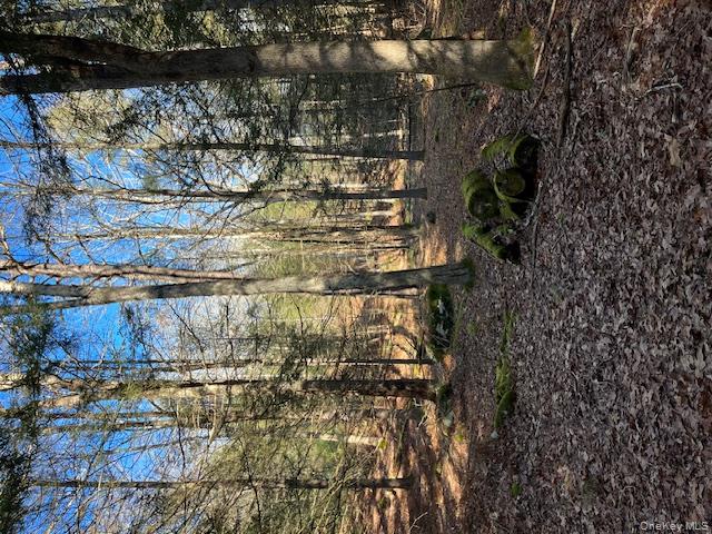 Homes for sale in Bethel, NY | 198 W Starlight Dr, Bethel, NY 12778 | MLS# 930646