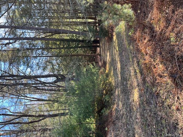 Homes for sale in Bethel, NY | 198 W Starlight Dr, Bethel, NY 12778 | MLS# 930646