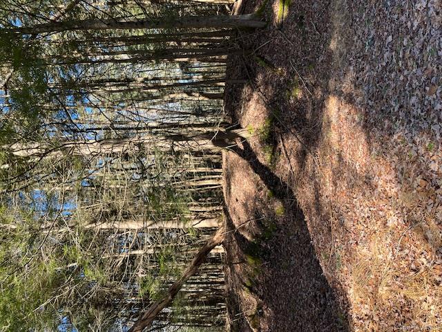 Homes for sale in Bethel, NY | 198 W Starlight Dr, Bethel, NY 12778 | MLS# 930646