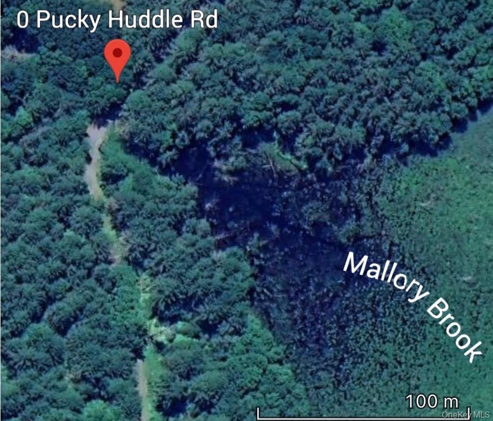 Homes for sale in Bethel, NY | 0 Puckyhuddle Rd, Bethel, NY 12720 | MLS# 933904