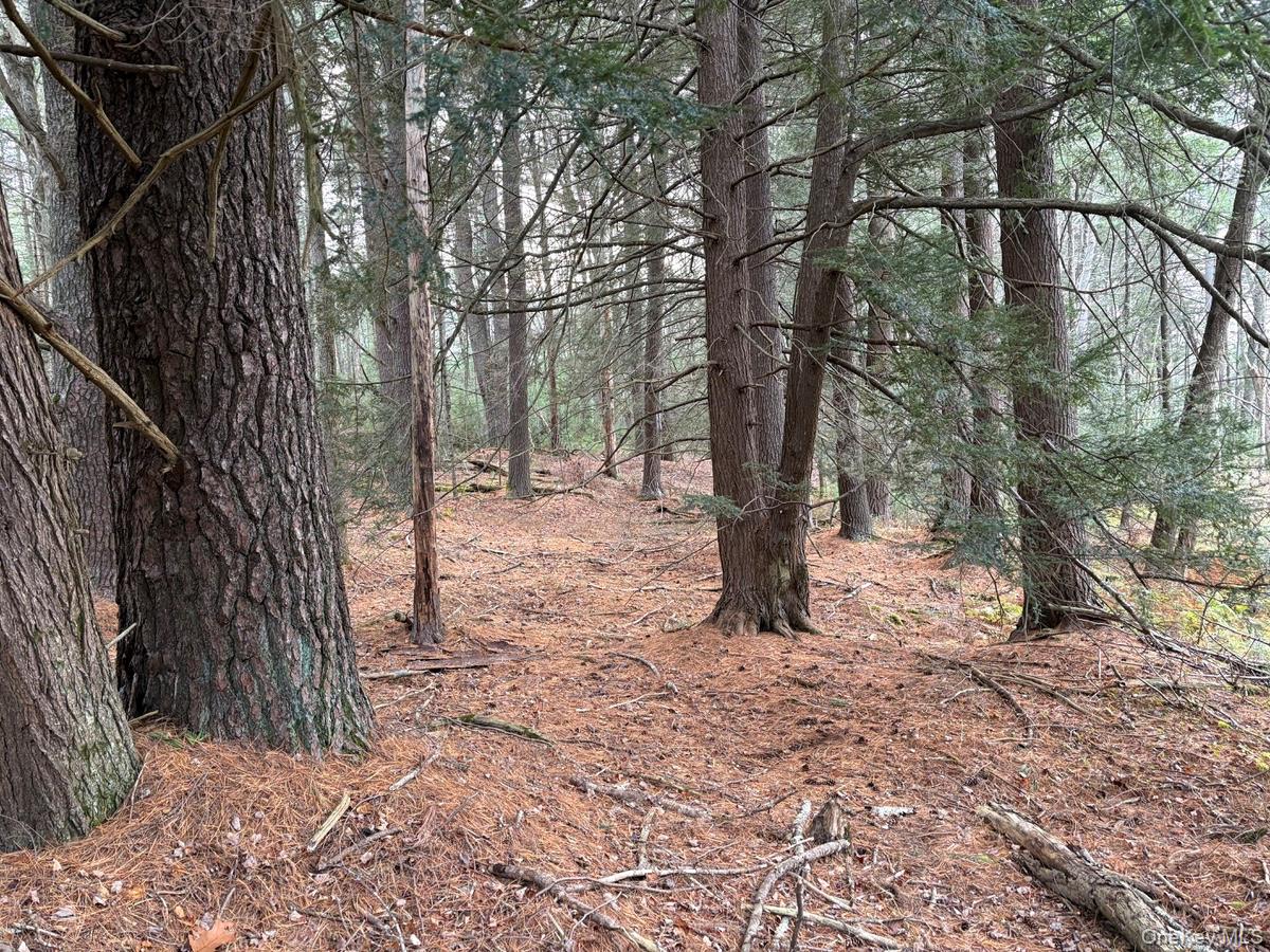 Homes for sale in Bethel, NY | 0 Puckyhuddle Rd, Bethel, NY 12720 | MLS# 933904