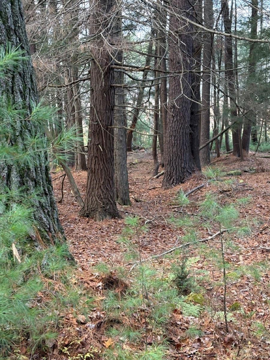 Homes for sale in Bethel, NY | 0 Puckyhuddle Rd, Bethel, NY 12720 | MLS# 933904